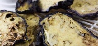 4 recettes simples pour sécher l'aubergine pour l'hiver