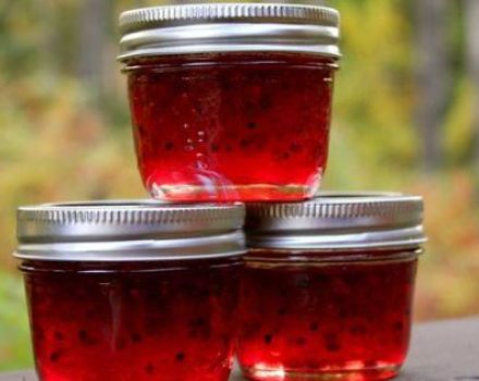 Une recette simple pour faire de la confiture de groseille à la gélatine pour l'hiver