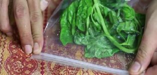 Comment conserver le basilic frais au réfrigérateur pour l'hiver à la maison