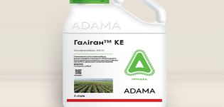 Instructions pour l'utilisation de l'herbicide Galigan, mécanisme d'action et taux de consommation