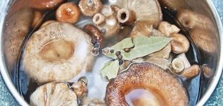 Wie man Gläser in Gläsern zu Hause mit kalten und heißen Methoden salzt