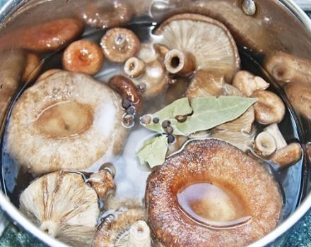 Comment saler des bocaux dans des bocaux à la maison avec des méthodes froides et chaudes