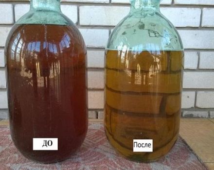 Anleitung zum Klären von Wein mit Eiweiß zu Hause