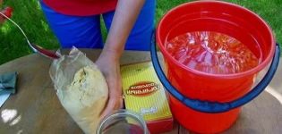 Comment faire face aux remèdes populaires du doryphore de la pomme de terre, la moutarde et le vinaigre?