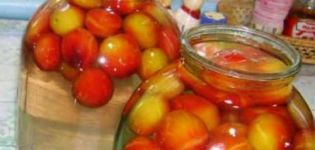 Recettes simples étape par étape pour préparer une compote d'hiver à partir de nectarines dans un pot de 3 litres