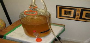 Physikalische und chemische Methoden zur Klärung von Wein vor Trübung und Sediment zu Hause