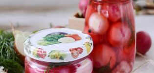 TOP 10 des recettes pour faire des radis pour l'hiver vous vous lècherez les doigts