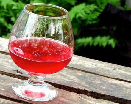 TOP 6 simple recipes for making wine from watermelon at home
