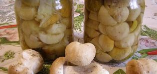 TOP 10 des recettes pour saler les champignons et les étables au lait noir de manière chaude et froide pour l'hiver