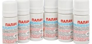 Instructions pour l'utilisation du bourreau de poison du doryphore de la pomme de terre