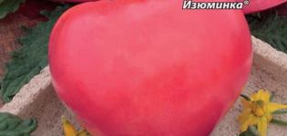 Eigenschaften und Beschreibung der Tomatensorte Zest, Ertrag