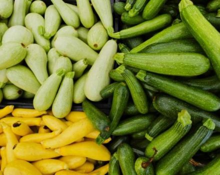 A simple recipe for canning zucchini in Ukrainian for the winter