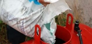 Instructions pour l'utilisation d'engrais superphosphate dans le jardin