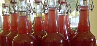 10 recettes simples pour faire du vin à partir de compote de fruits à la maison