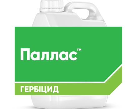 Zusammensetzung und Freisetzungsform des Pallas-Herbizids, Gebrauchsanweisung und Analoga