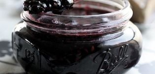 Une recette simple pour préparer les cassis pour l'hiver sans sucre dans leur propre jus