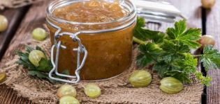 TOP 4 recipes for gooseberry cinnamon jam for the winter