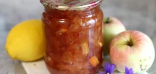 6 meilleures recettes pour faire de la confiture de pommes et de citron pour l'hiver
