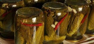 Das beste Rezept zum Einlegen von Gurken mit Paprika für den Winter