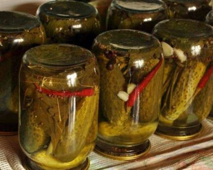 La meilleure recette pour mariner les concombres avec des poivrons pour l'hiver