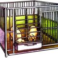 DIY instructions for making cages for pigs, dimensions and drawings