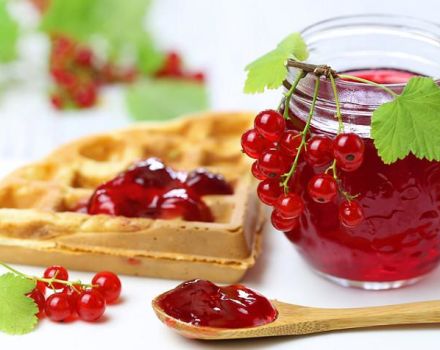 TOP 10 des recettes de confiture de groseilles rouges pour l'hiver à la maison