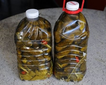 Recettes étape par étape pour les concombres marinés dans des bouteilles en plastique pour l'hiver, stockage