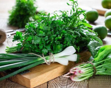 Recettes sur la façon de saler les légumes verts à la maison pour l'hiver dans des bocaux