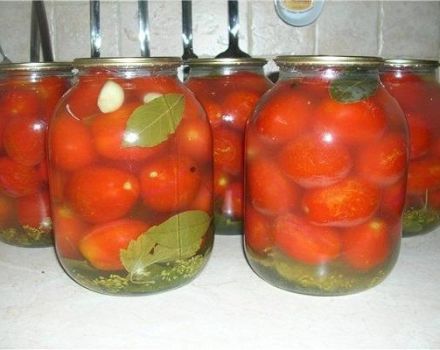 TOP 13 de délicieuses recettes de tomates salées instantanées pour l'hiver