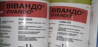 Mode d'emploi du fongicide Vivando, taux de consommation et analogues