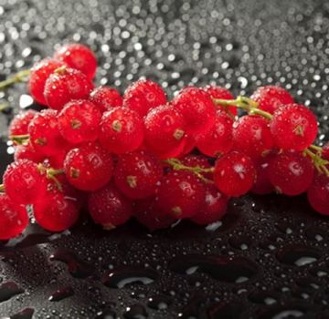 TOP 6 ways to properly freeze red currants for the winter