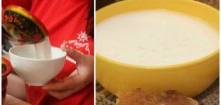 Comment faire du kumis à partir de lait de chèvre à la maison et durée de conservation