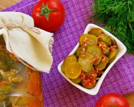 Recettes de concombres légèrement salés et marinés en géorgien pour l'hiver