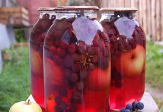 Une recette simple de compote de pommes et de raisins pour l'hiver