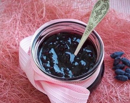 Die besten und interessantesten Rezepte für die Herstellung von Geißblatt-Rohlingen für den Winter