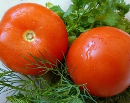 Description de la variété de tomate Maksimka, culture et entretien
