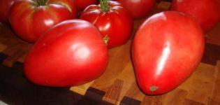 Characteristics and description of the Mazarin tomato variety, its yield