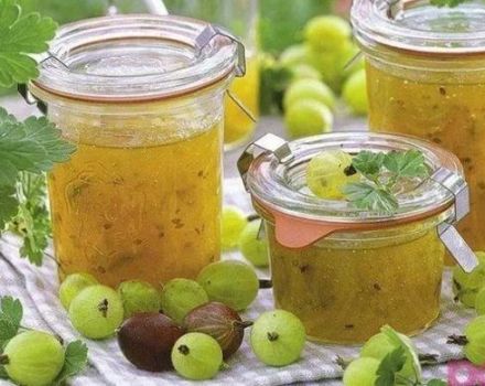 TOP 6 leckere Rezepte für Stachelbeermarmelade mit Äpfeln für den Winter