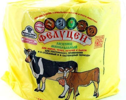 Top 4 des vitamines essentielles pour le bétail, quand commencer et comment se nourrir correctement