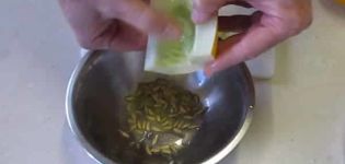 Wie sammle ich Gurkensamen zu Hause richtig mit eigenen Händen?