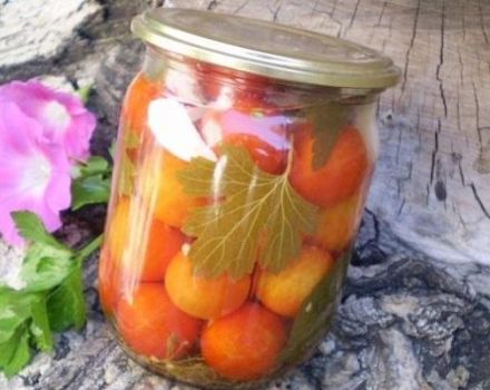 15 easy step-by-step recipes for pickling tomatoes for the winter in jars