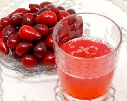 15 meilleures recettes pour faire des ébauches de cornouiller pour l'hiver