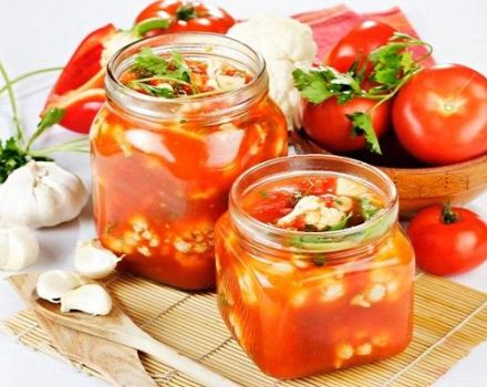Recettes étape par étape pour cuire des légumes dans du jus de tomate pour l'hiver