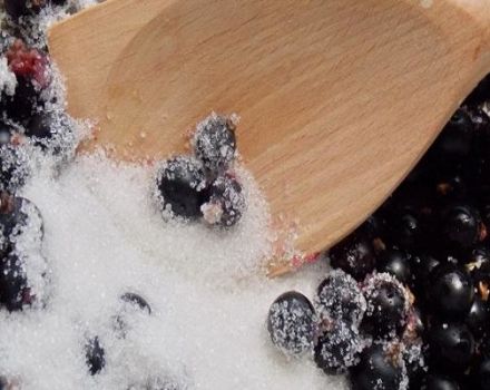 Une recette pas à pas pour la confiture de cassis dans une casserole pour l'hiver