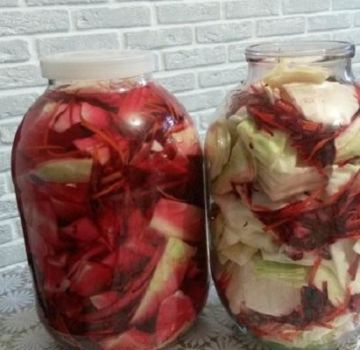 7 meilleures recettes de choucroute aux betteraves