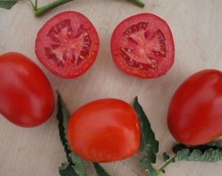 Beschreibung der Indio-Tomatensorte und ihrer Eigenschaften