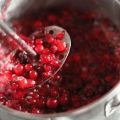 TOP 8 köstliche Rezepte zum Kochen von Preiselbeeren, püriert mit Zucker für den Winter