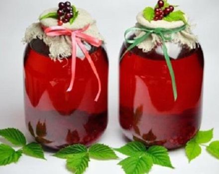 TOP 3 des recettes pour faire de la compote de groseille rouge et de menthe pour l'hiver