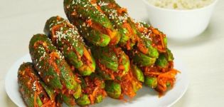10 best recipes for making delicious cucumber snacks for the winter
