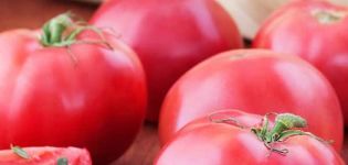 Description de la variété de tomate Vermilion, ses caractéristiques et son rendement